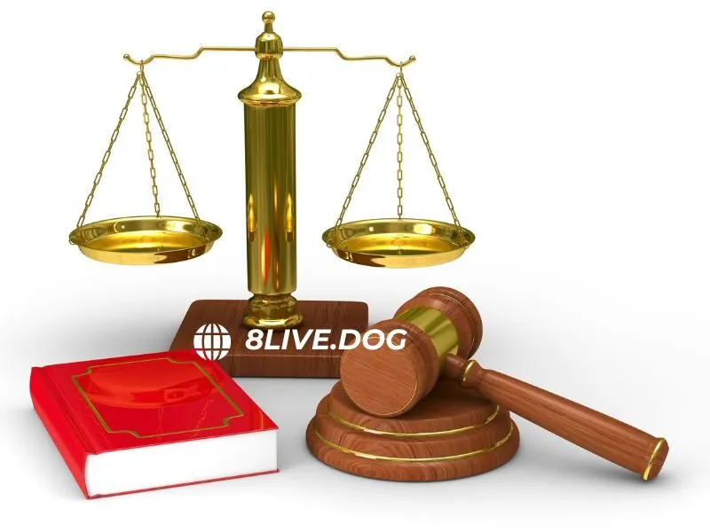 Hình thức xử lý khi người chơi vi phạm quy định