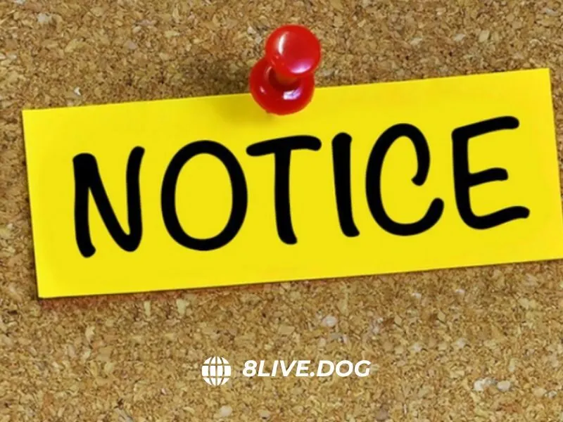 Lưu ý cho người chơi để nhận thưởng từ khuyến mãi 8live