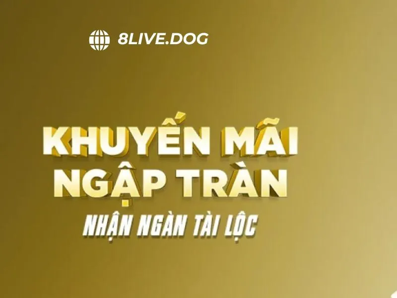 Nhà cái cung cấp nhiều khuyến mãi hot cho thành viên