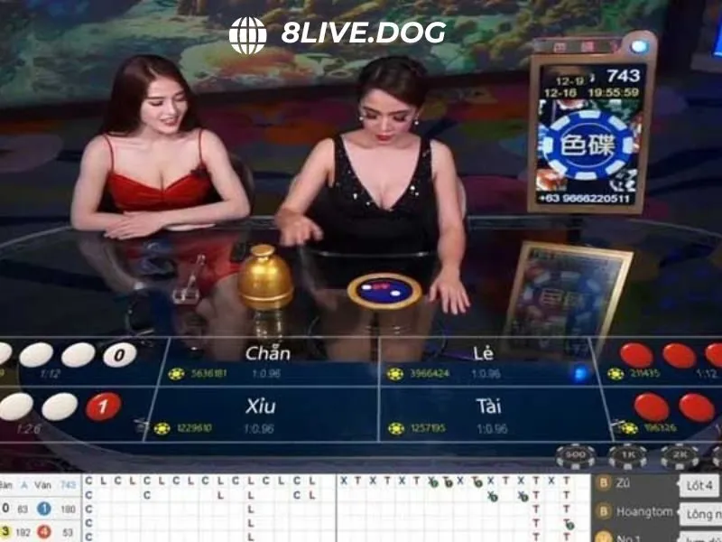 Xóc đĩa 8live có luật chơi đơn giản, phù hợp với nhiều thành viên